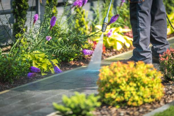 Best Fence Cleaning  in Bethesda, OH