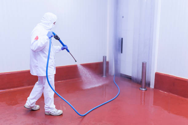 Best Pre-Holiday Cleaning  in Bethesda, OH